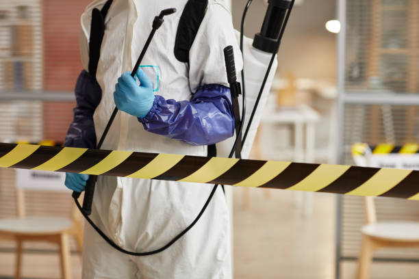 Professional Odor Removal technician working in Telferner, TX